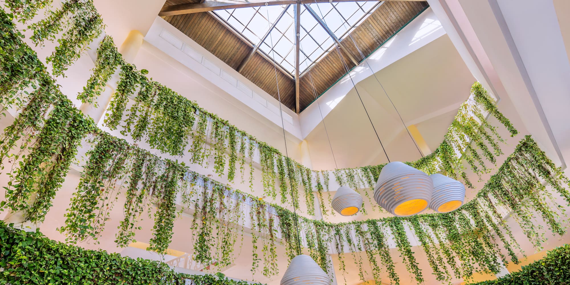 a ceiling with plants from the ceiling