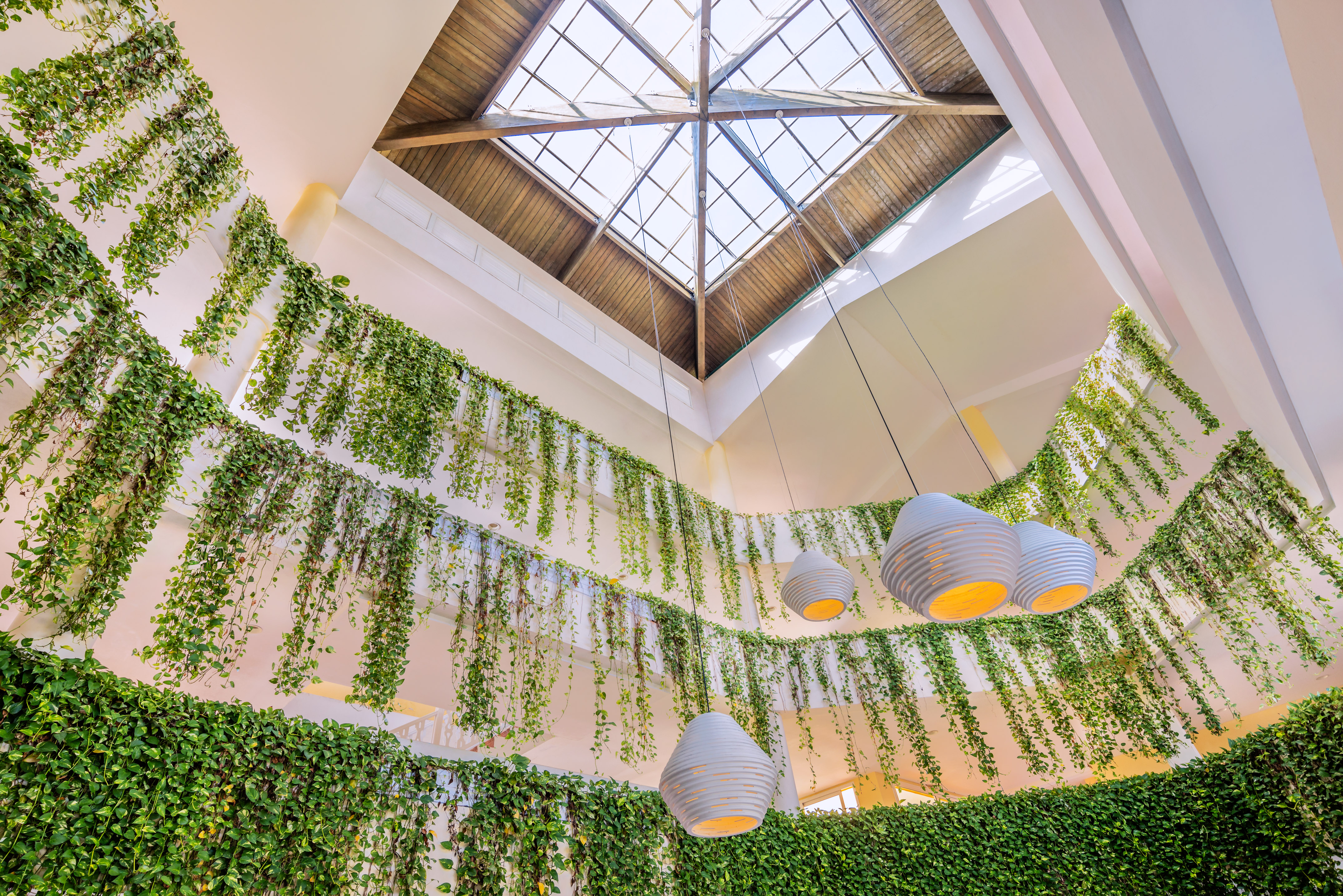 a ceiling with plants from the ceiling