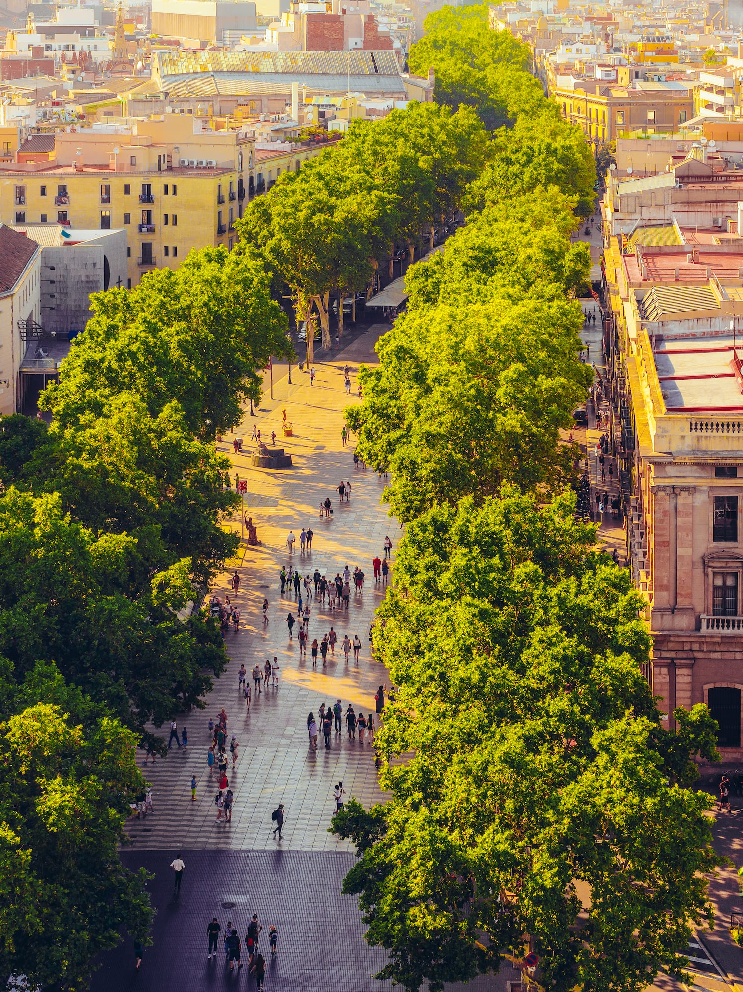 a group of people walking on a sidewalk with trees with La Rambla, Barcelona in the background