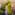 a group of people walking on a sidewalk with trees with La Rambla, Barcelona in the background