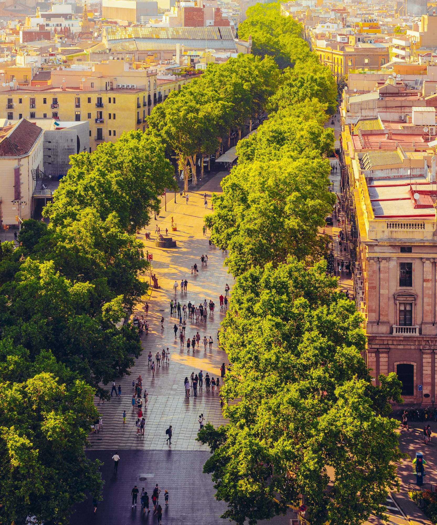 a group of people walking on a sidewalk with trees with La Rambla, Barcelona in the background