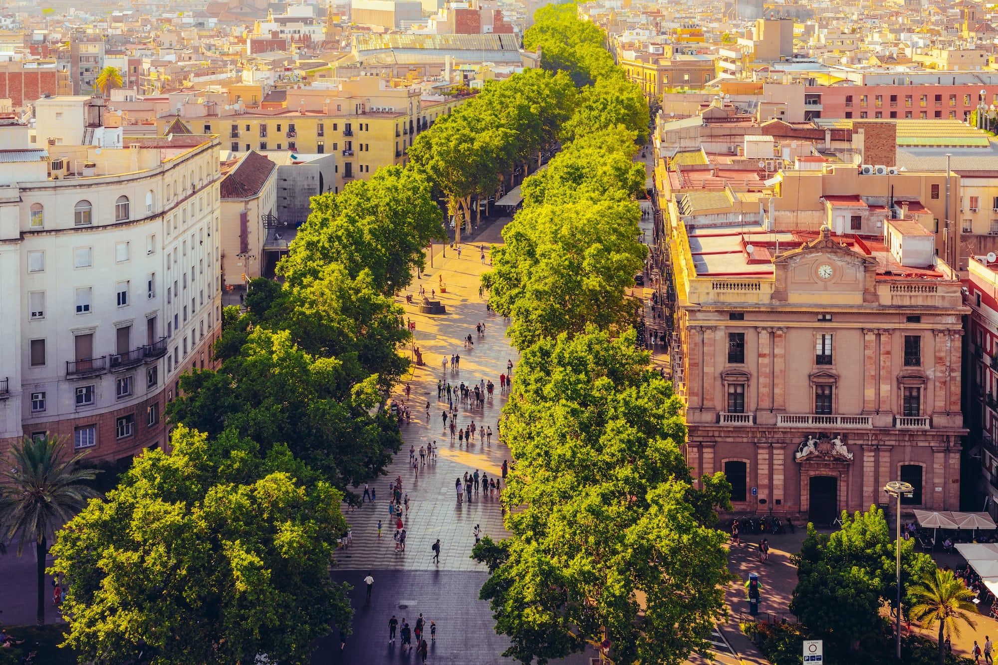 a group of people walking on a sidewalk with trees with La Rambla, Barcelona in the background