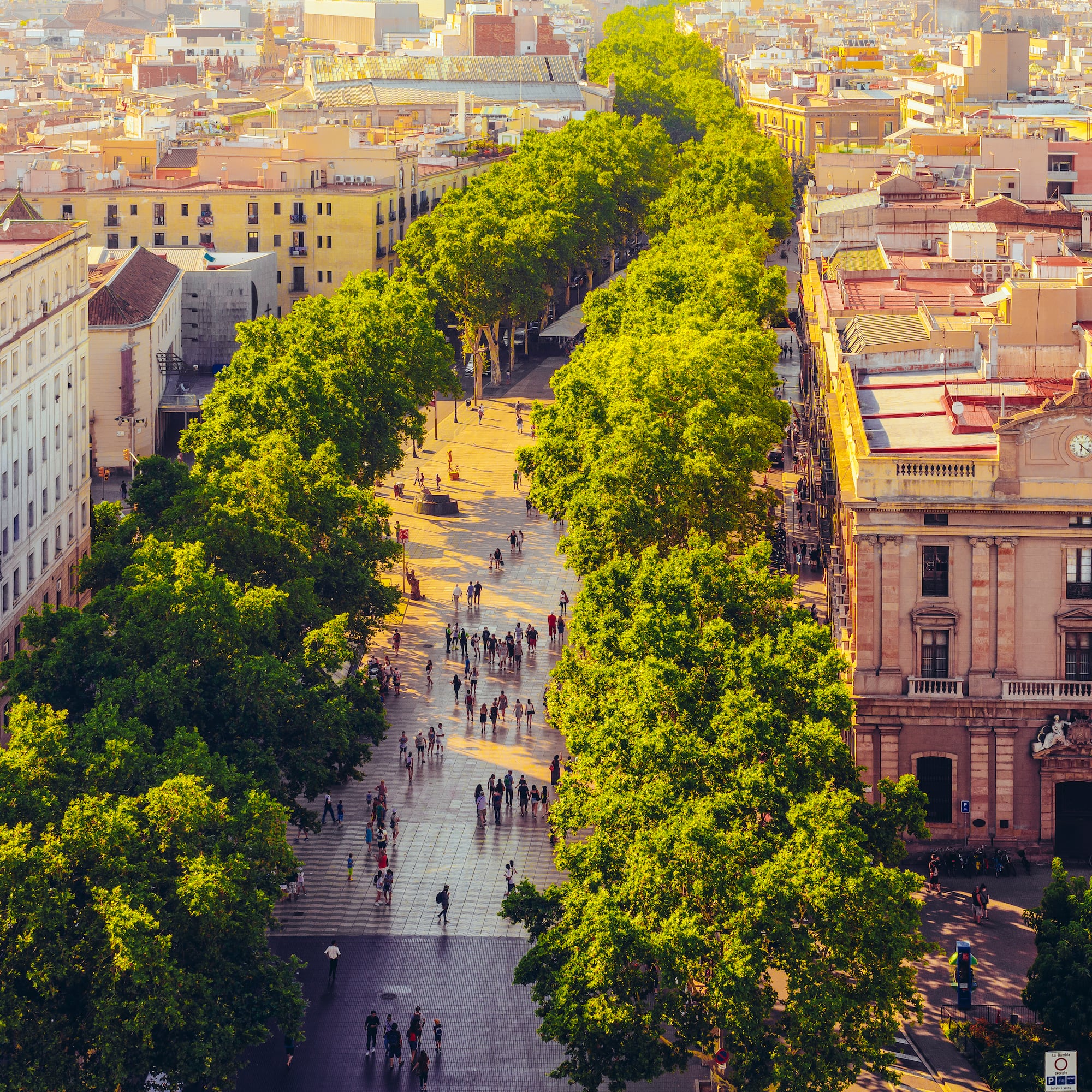 a group of people walking on a sidewalk with trees with La Rambla, Barcelona in the background