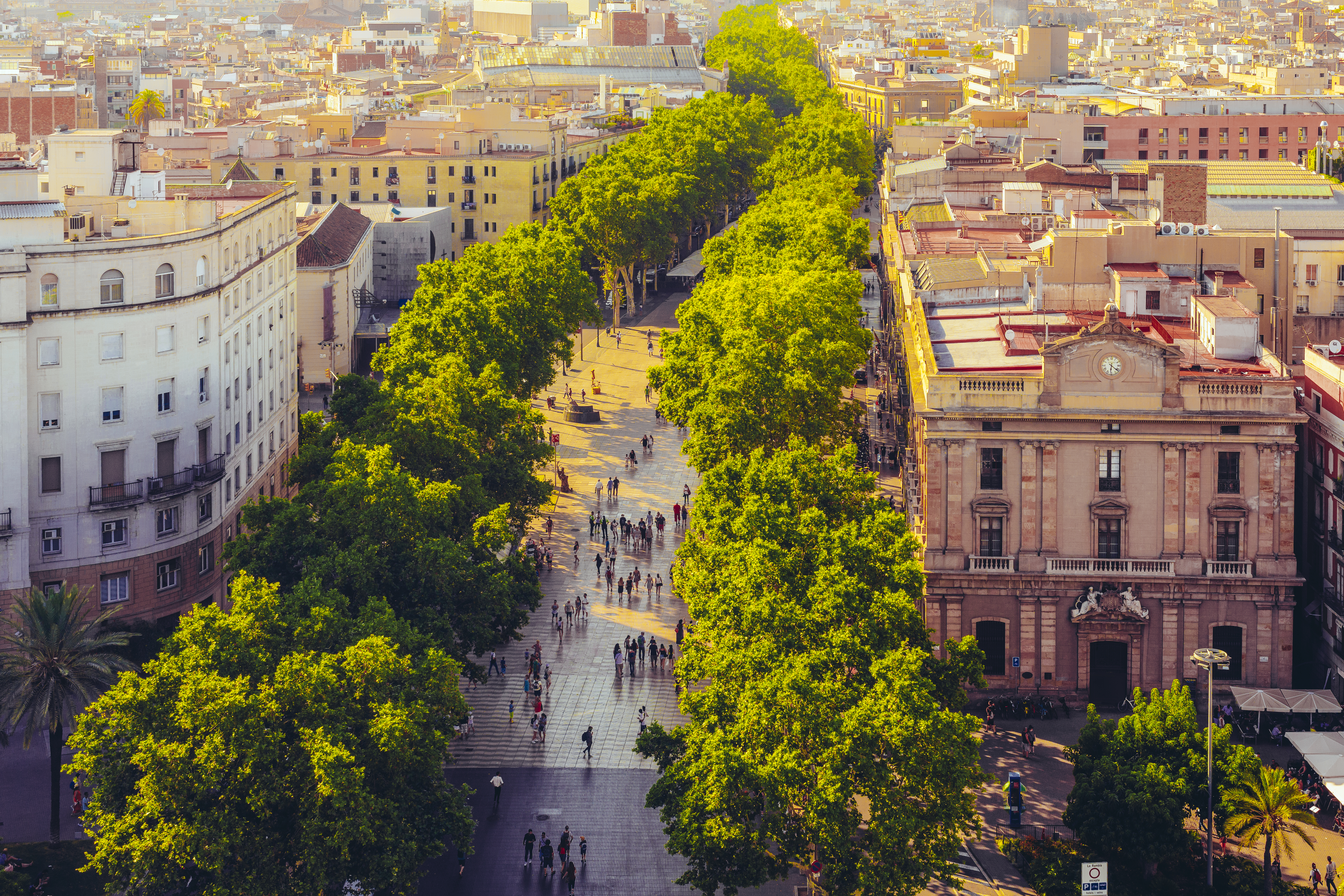 a group of people walking on a sidewalk with trees with La Rambla, Barcelona in the background