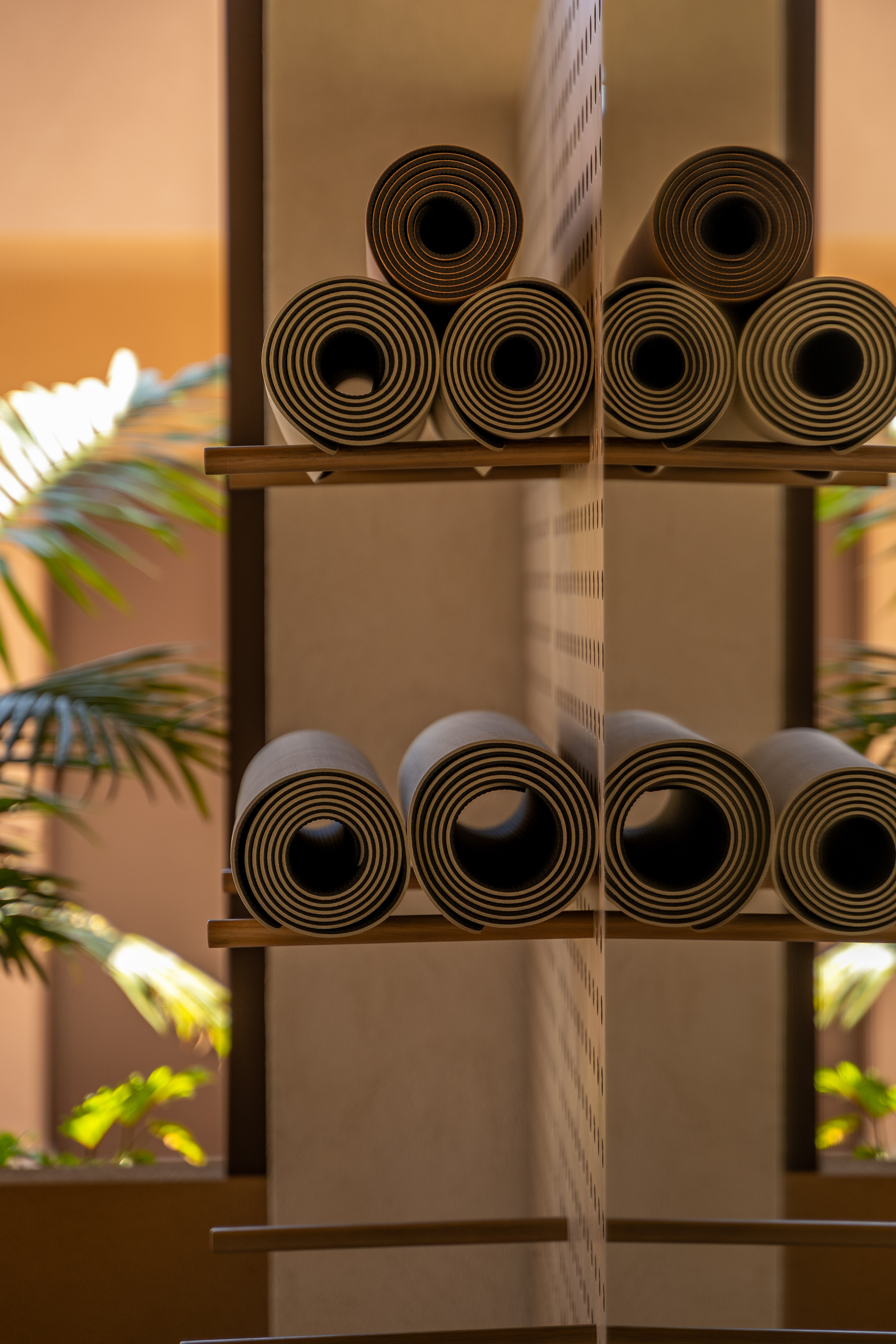 Rolled yoga mats on wooden shelves, modern fitness studio with plants.