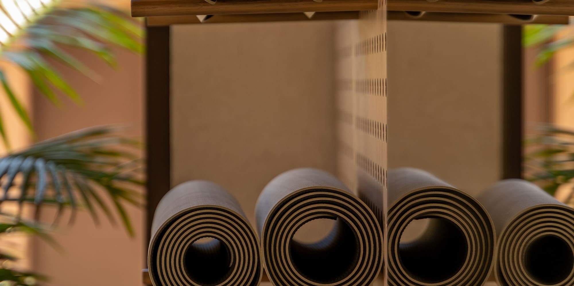 Rolled yoga mats on wooden shelves, modern fitness studio with plants.