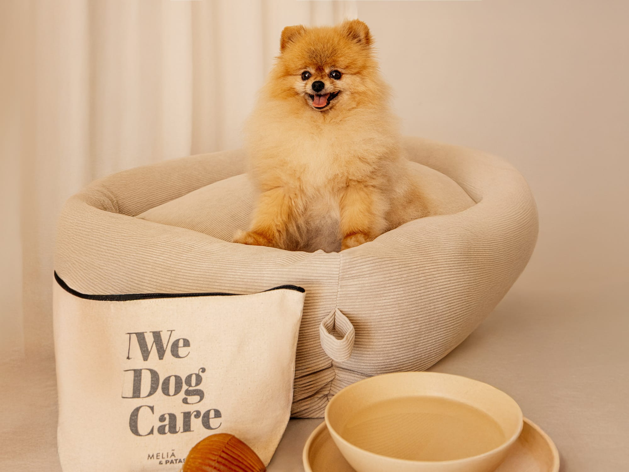 a dog sitting in a dog bed