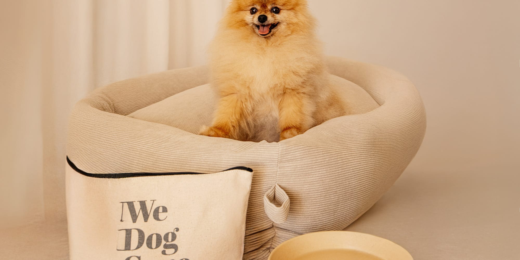 a dog sitting in a dog bed