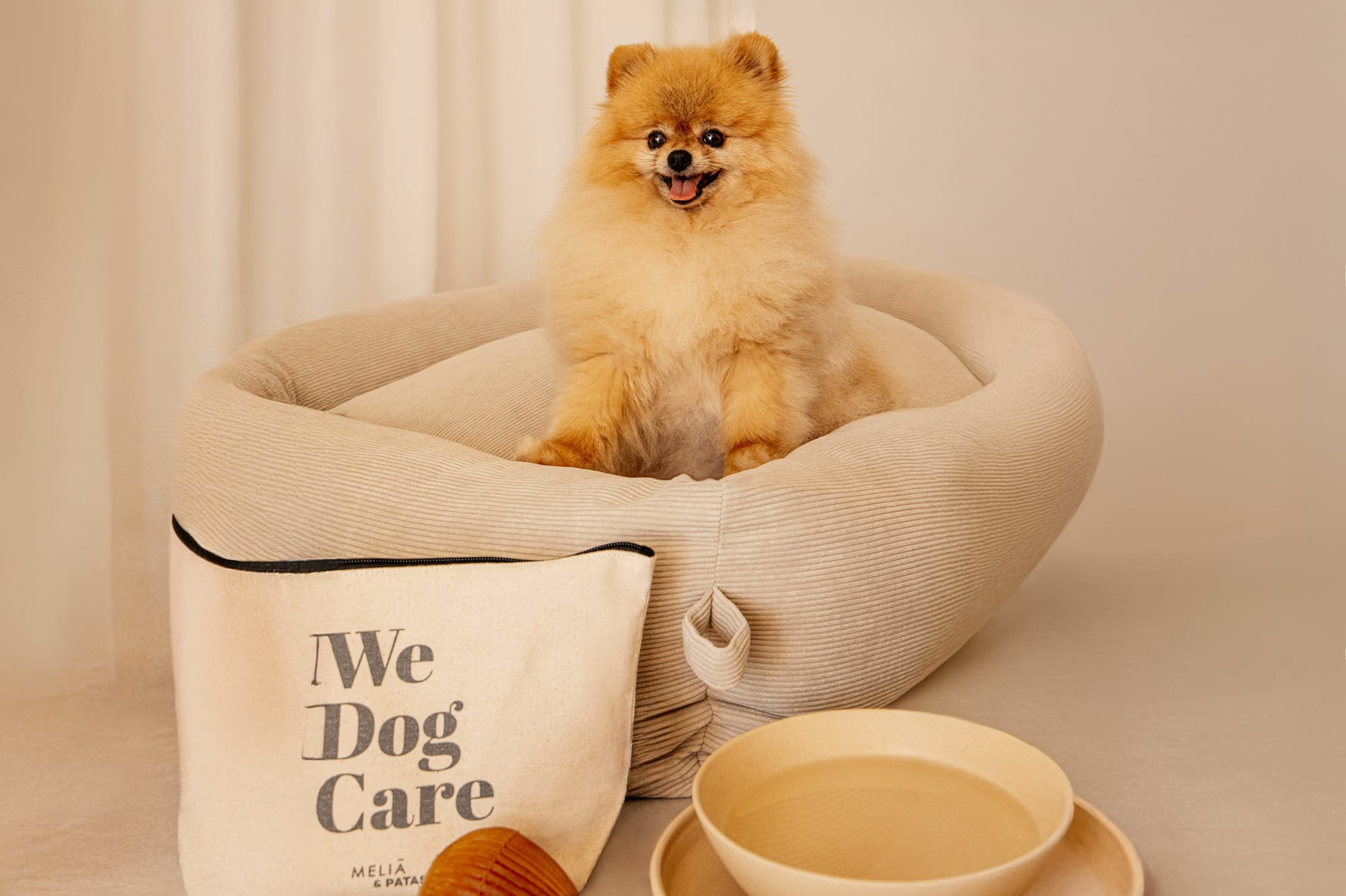 a dog sitting in a dog bed