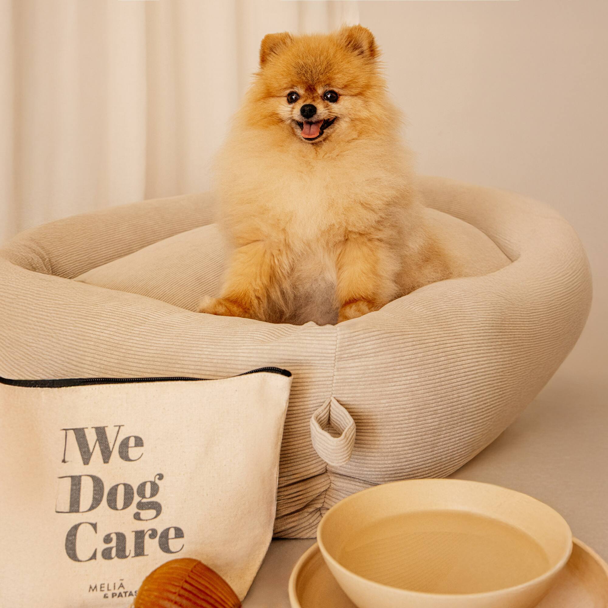 a dog sitting in a dog bed