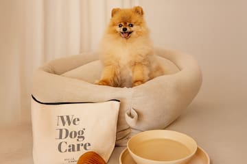 a dog sitting in a dog bed