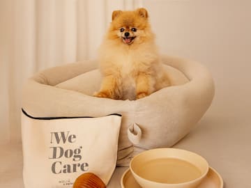 a dog sitting in a dog bed