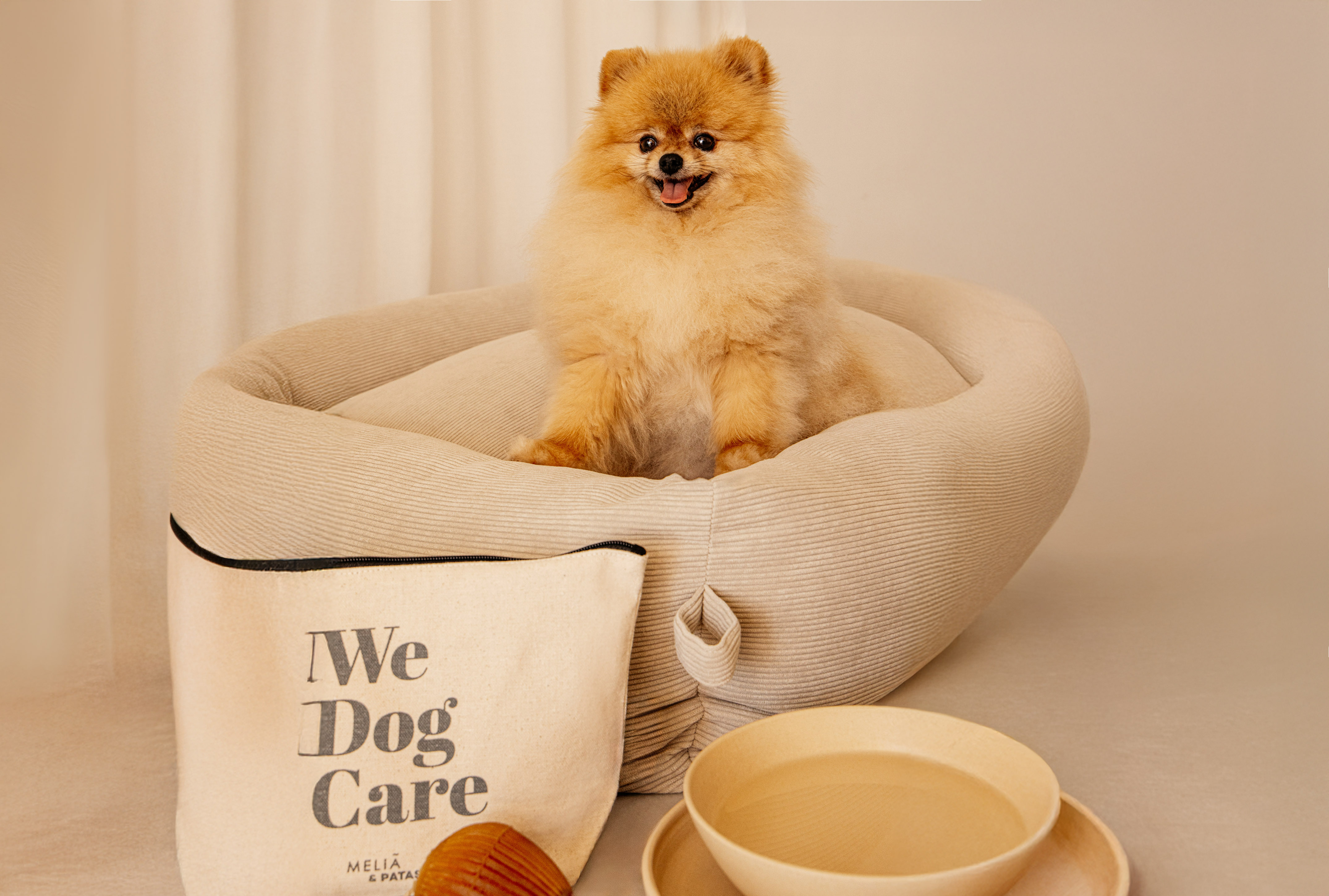 Smiling Pomeranian in beige dog bed, 'We Dog Care' bag, and pet bowls.