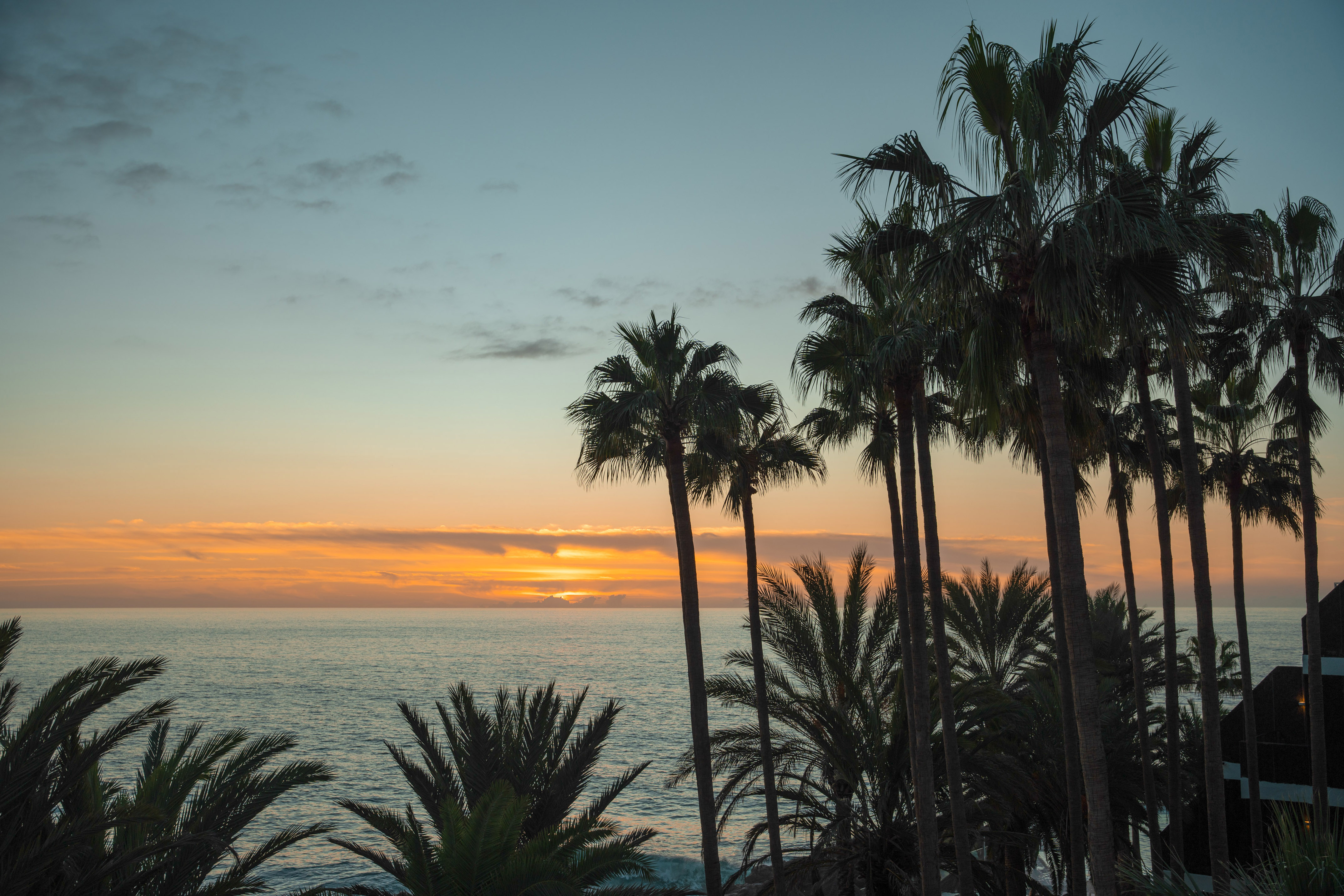 Tropical sunset over ocean with silhouetted palm trees.