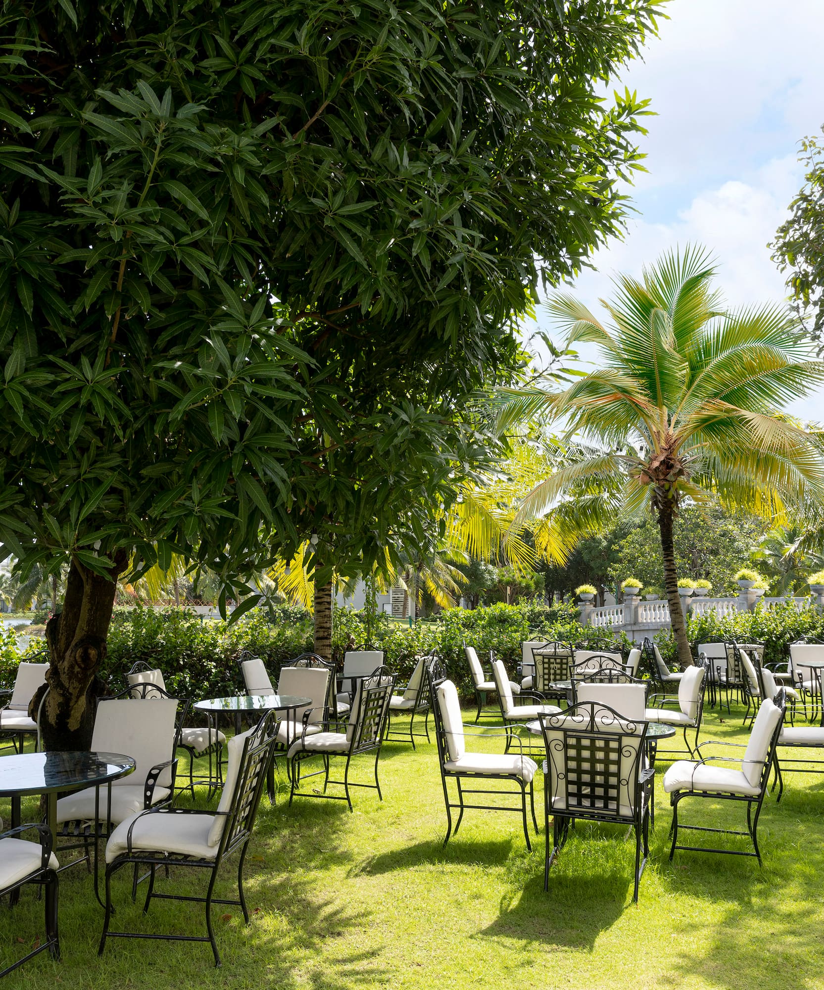 a group of chairs and tables in a park