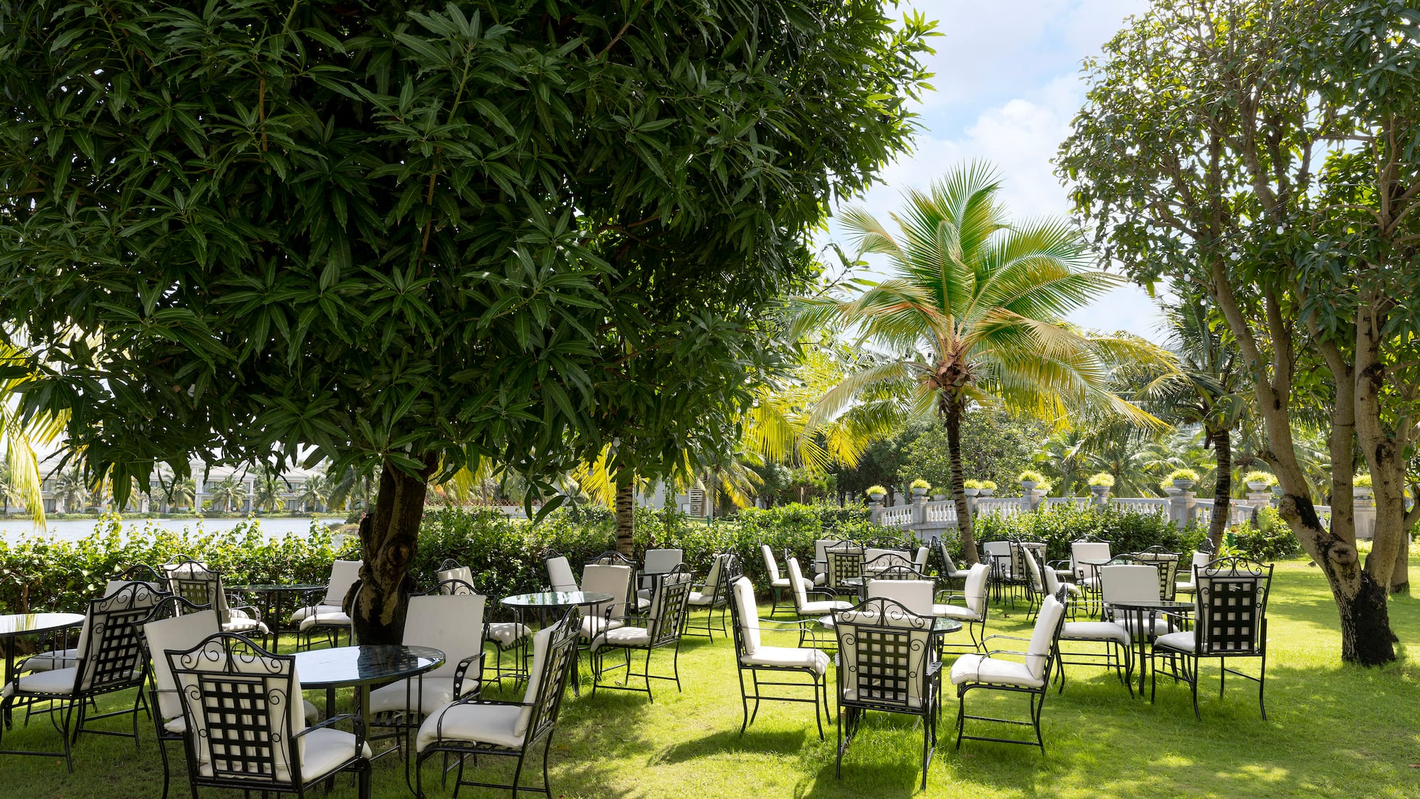 a group of chairs and tables in a park
