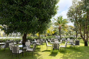 a group of chairs and tables in a park