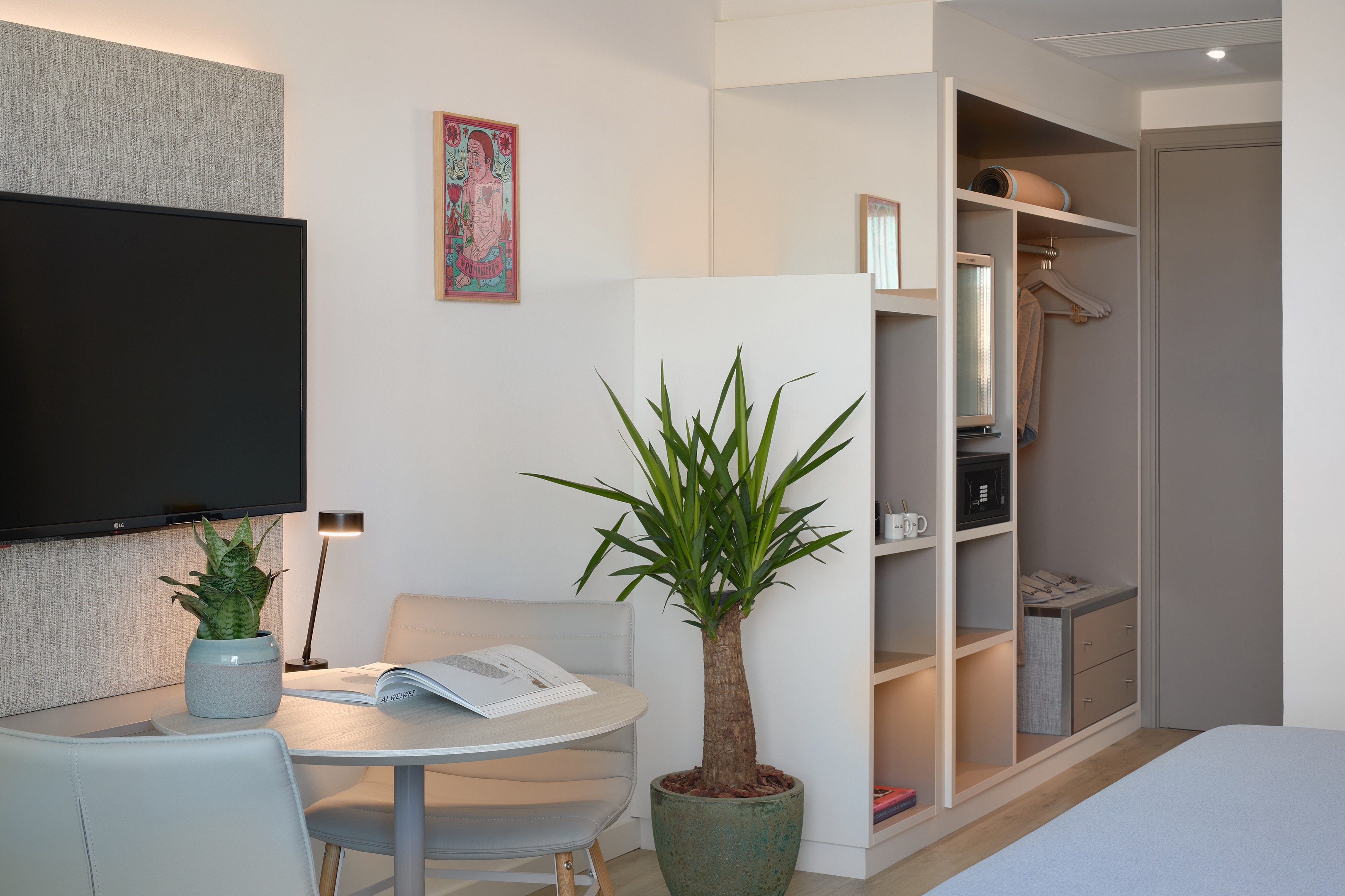 Modern studio room with TV, dining area, potted plants, and integrated storage.
