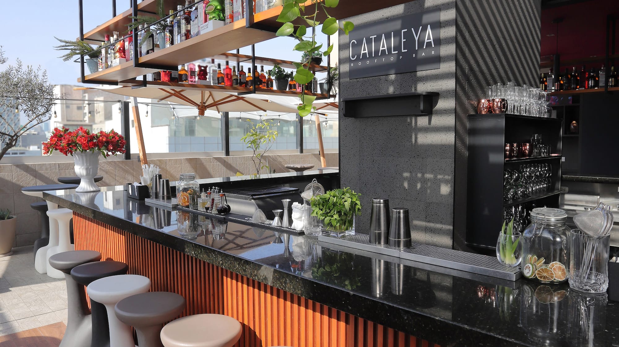 a bar with stools and bottles on the shelves