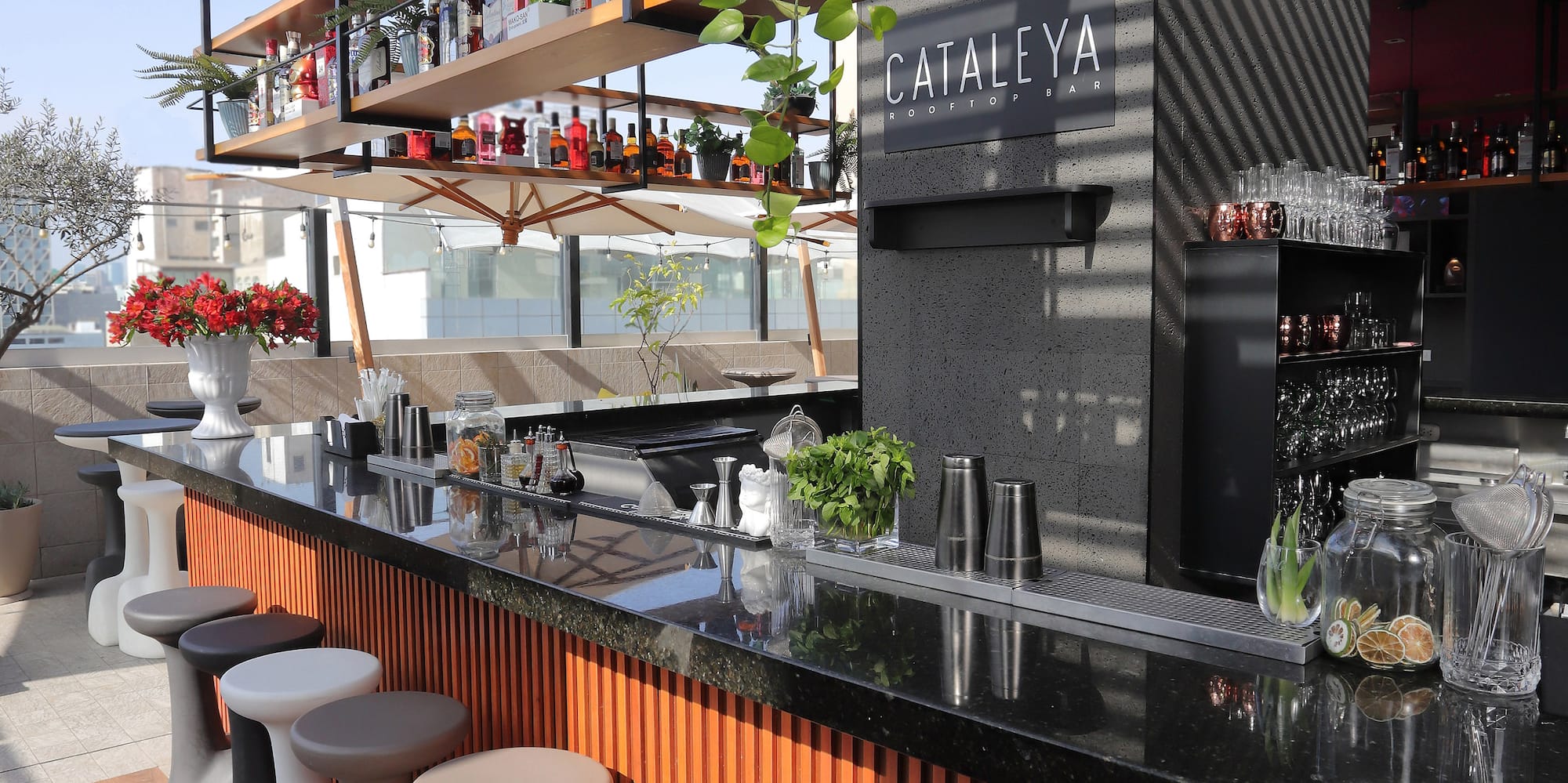 a bar with stools and bottles on the shelves