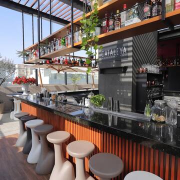 a bar with stools and bottles on the shelves