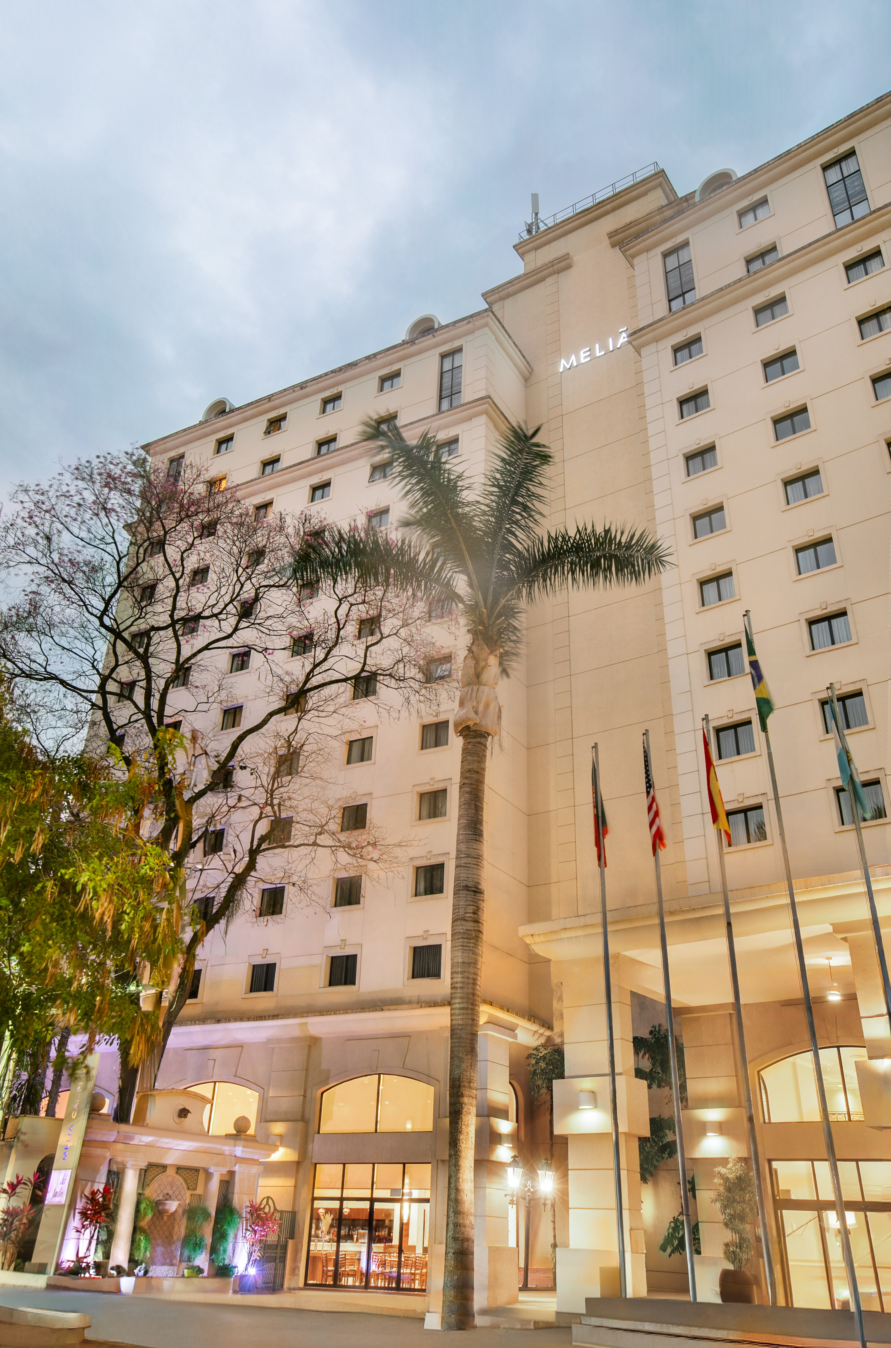 Meliã hotel facade, palm tree, international flags, illuminated entrance.
