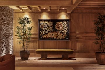 a room with a bench and a plant in a pot