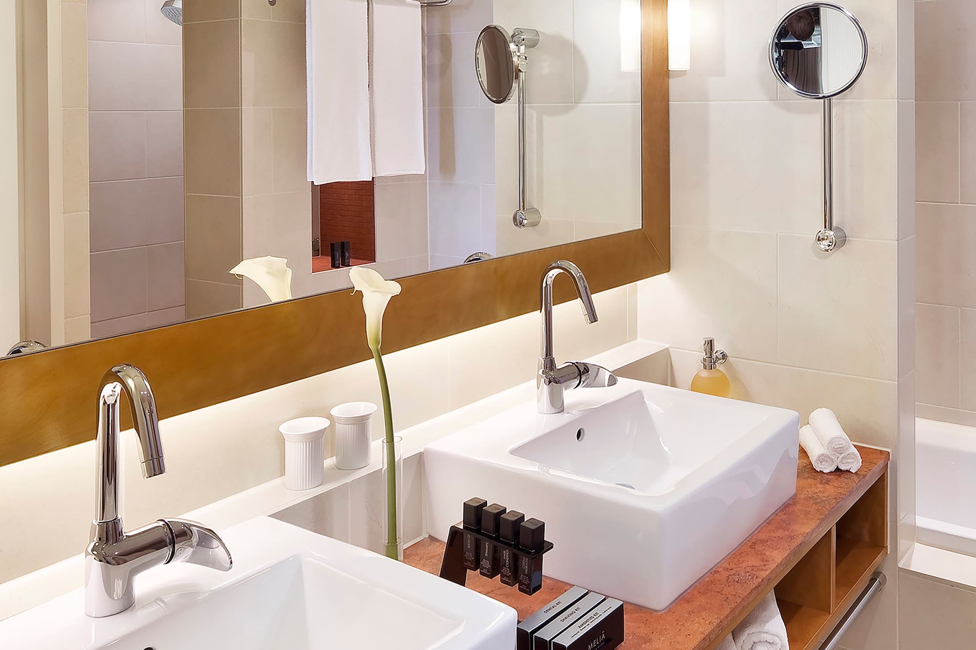 a bathroom with two sinks and a mirror