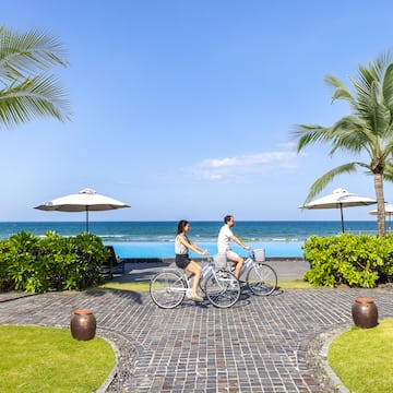 a man and woman riding bicycles on a brick path with palm trees and a body of water