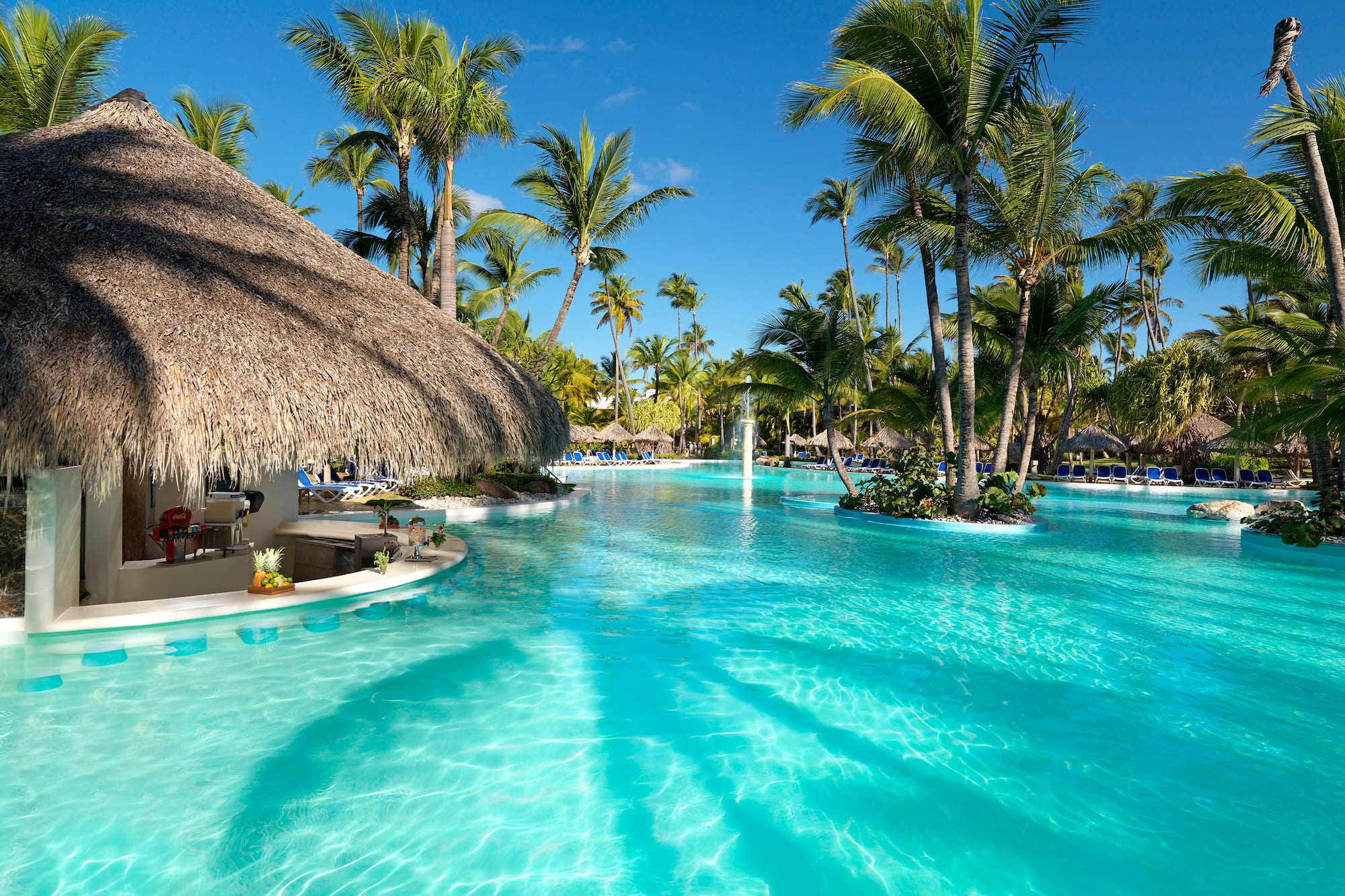 a pool with palm trees and a thatched roof