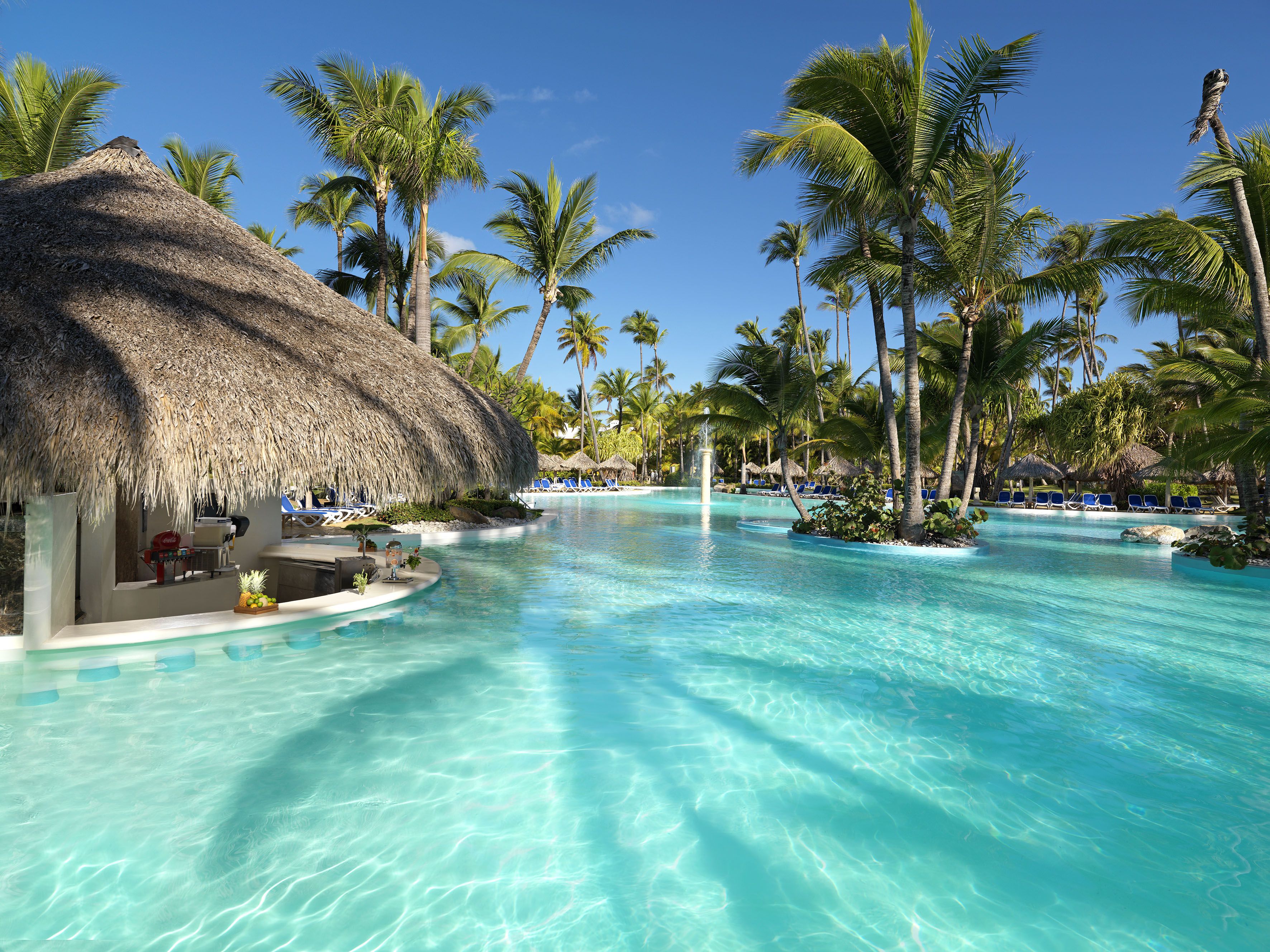 a pool with palm trees and a thatched roof