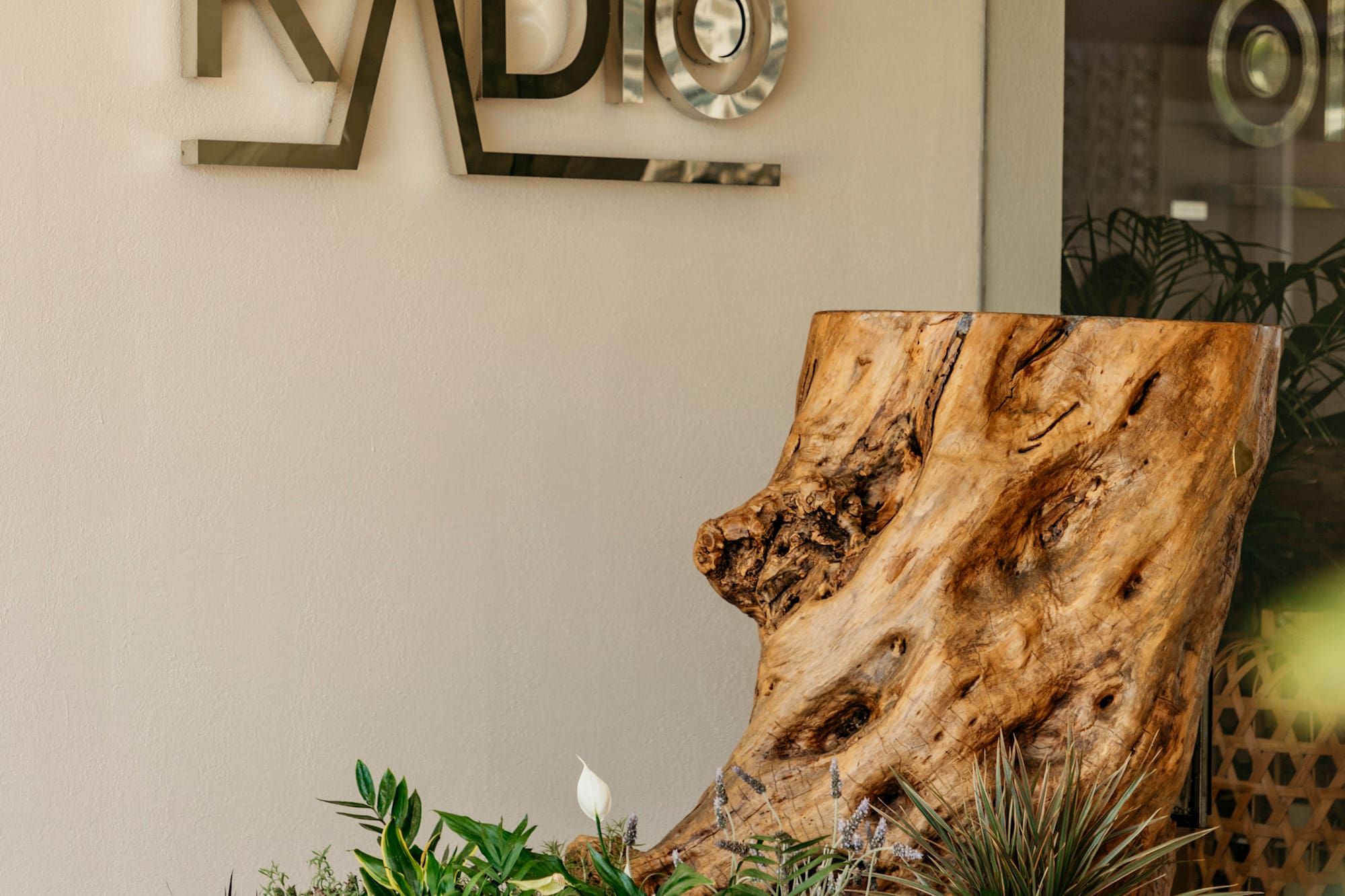 RADIO sign, large natural wood stump, and diverse potted plants in baskets.