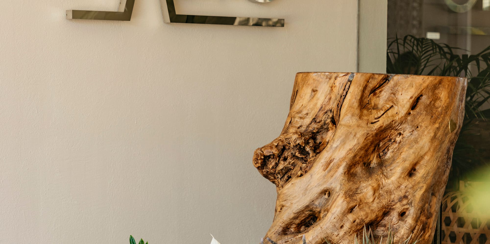 a tree stump with flowers in front of a sign
