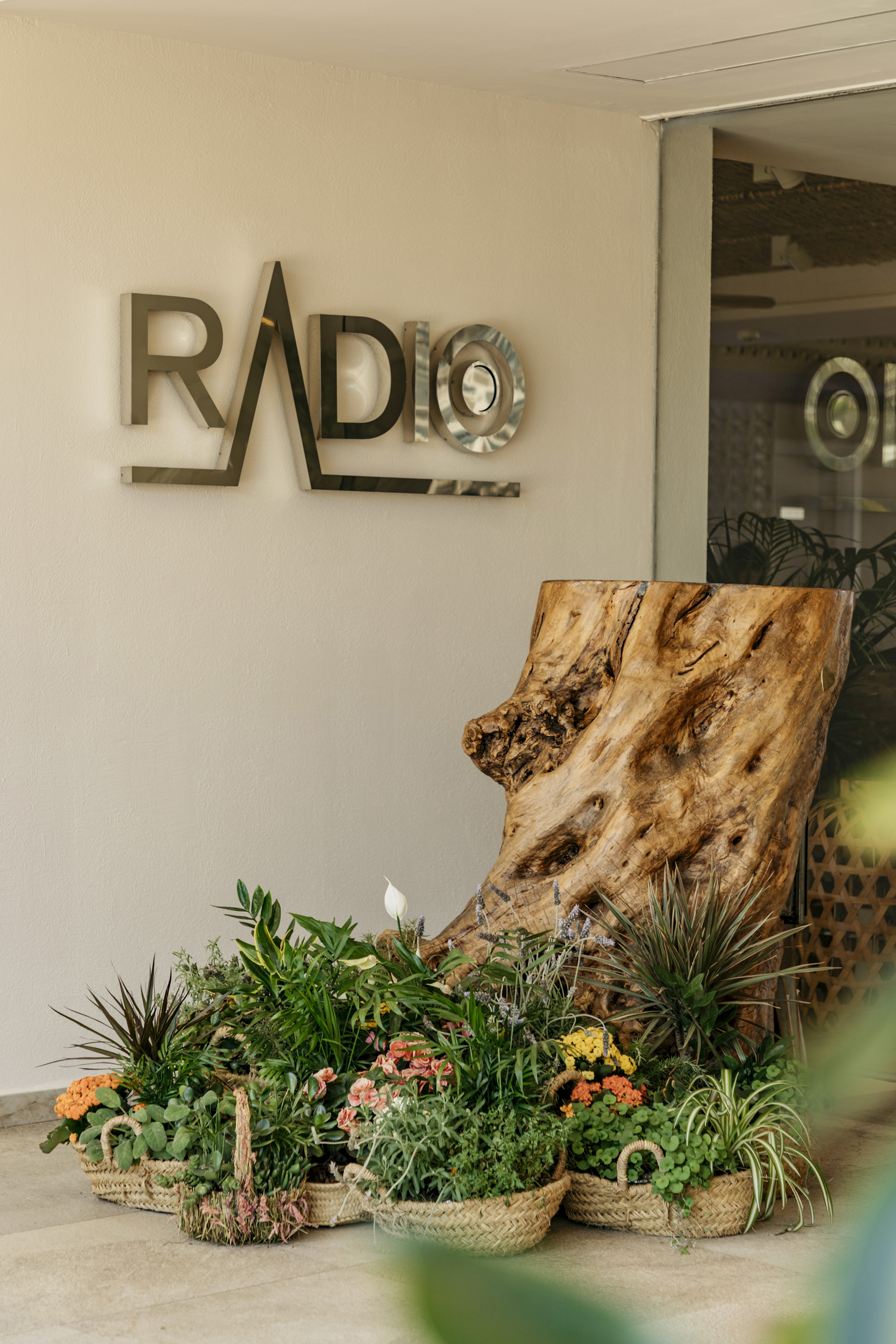RADIO sign, large natural wood stump, and diverse potted plants in baskets.