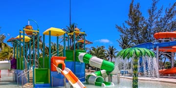 a water park with a slide and a palm tree