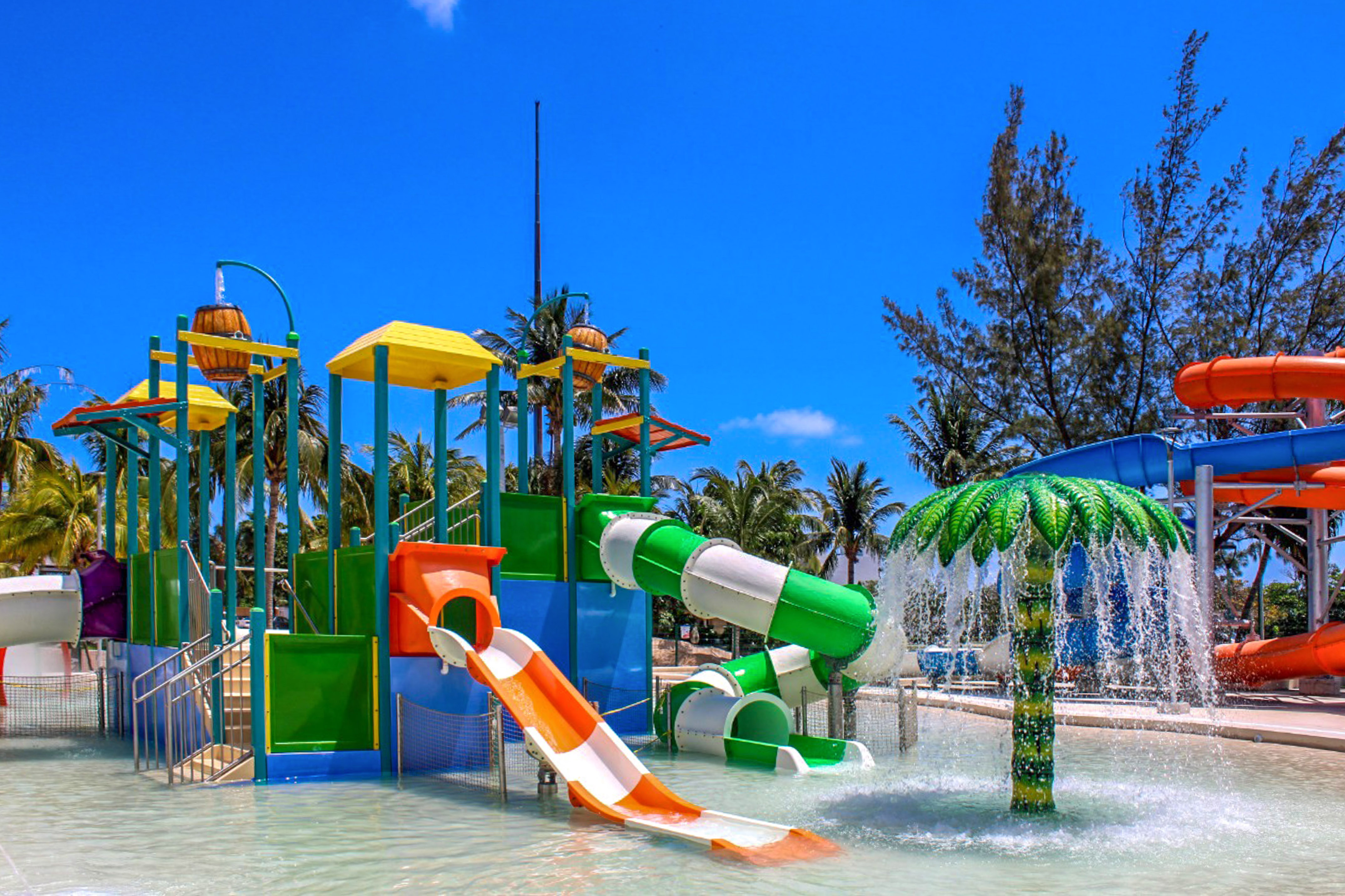 Colorful water park featuring slides, splash pad, and tropical palm trees.
