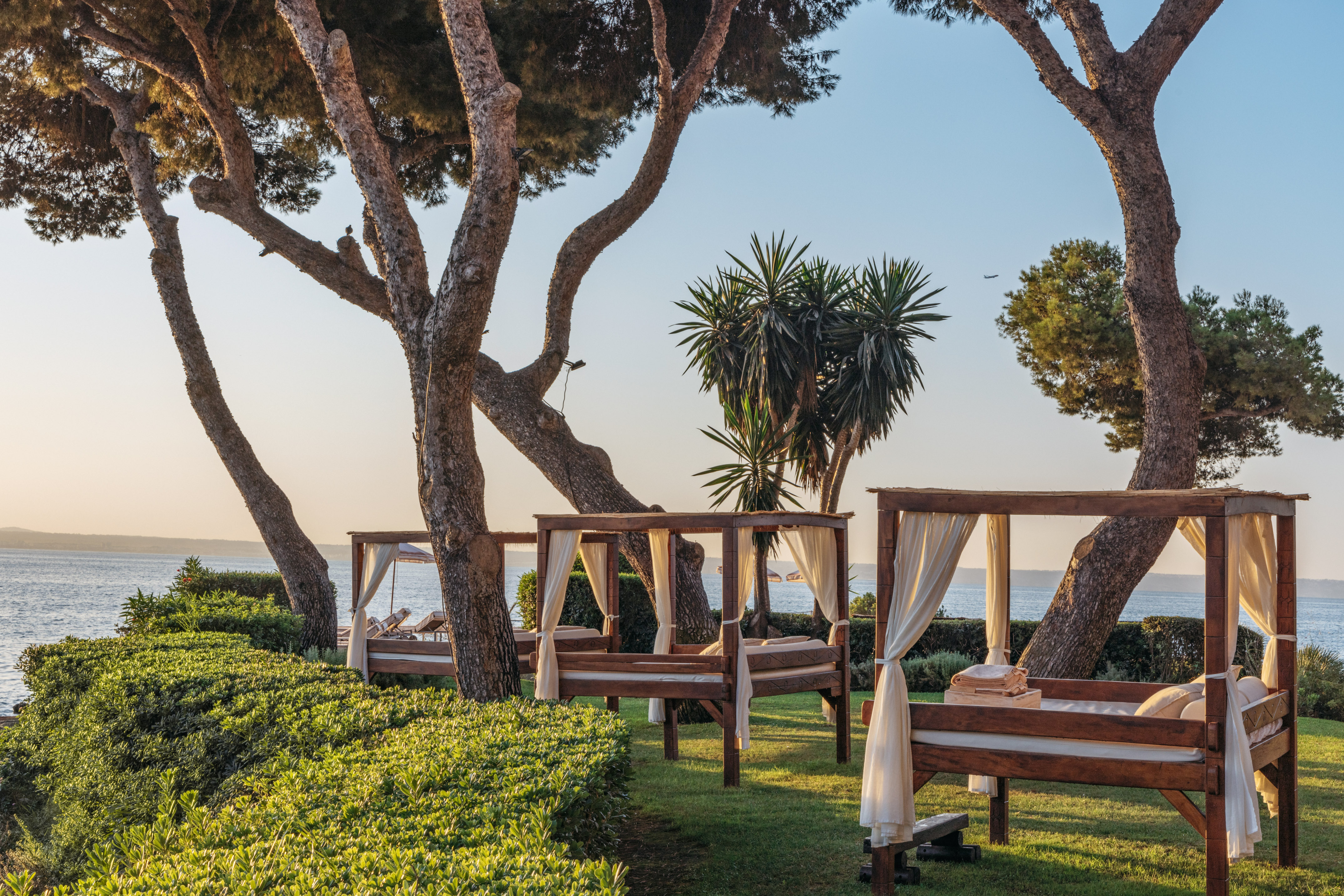 Luxury resort garden with wooden daybeds, pine trees, ocean view.