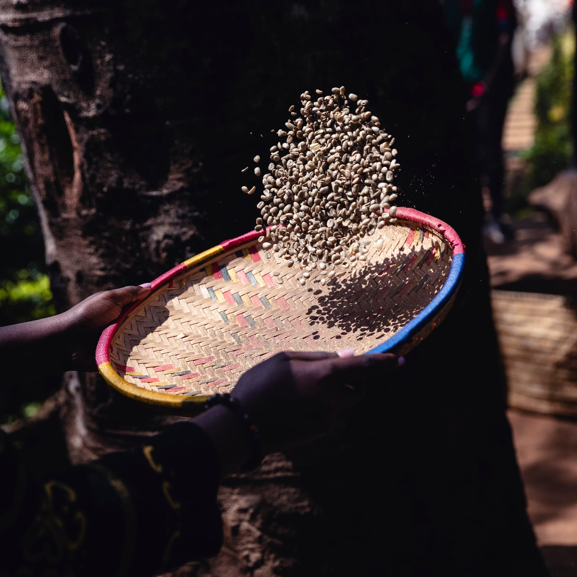 a person holding a basket with grains falling
