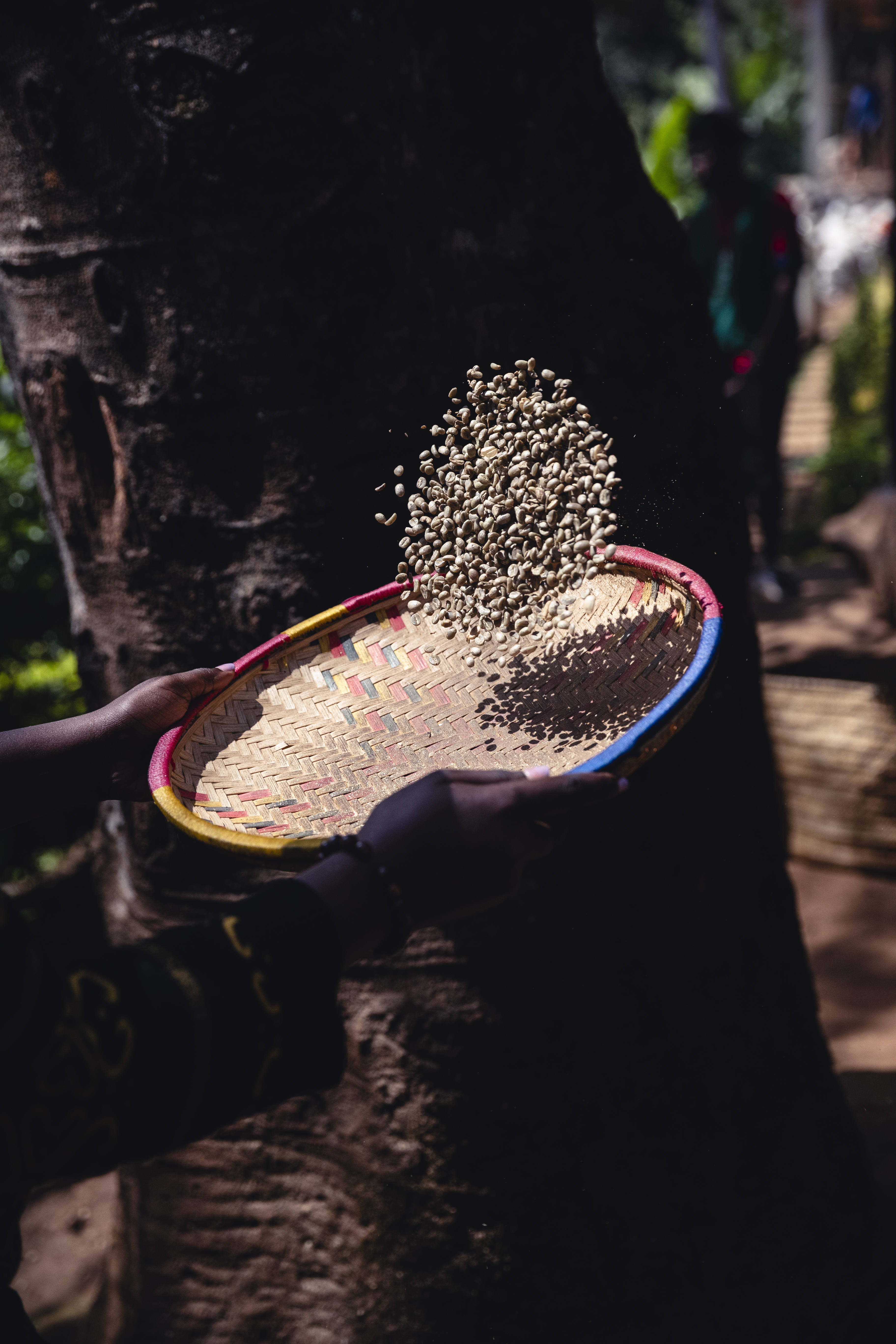 a person holding a basket with grains falling