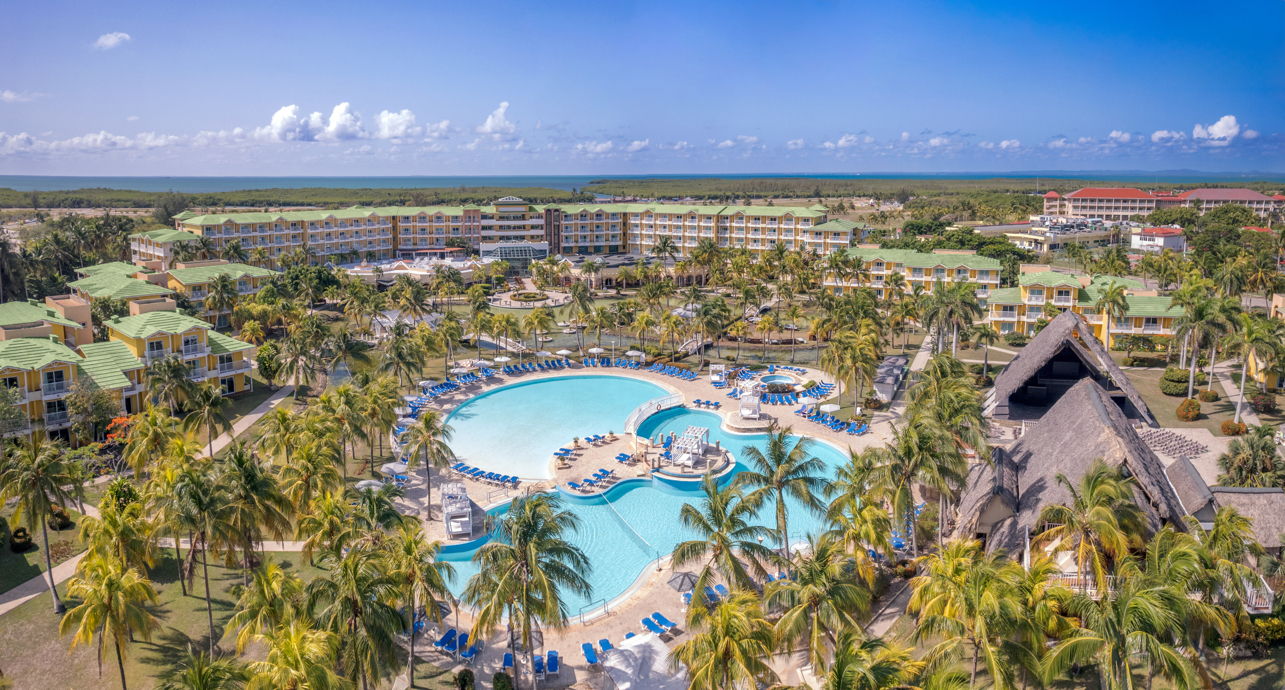 a swimming pool surrounded by palm trees