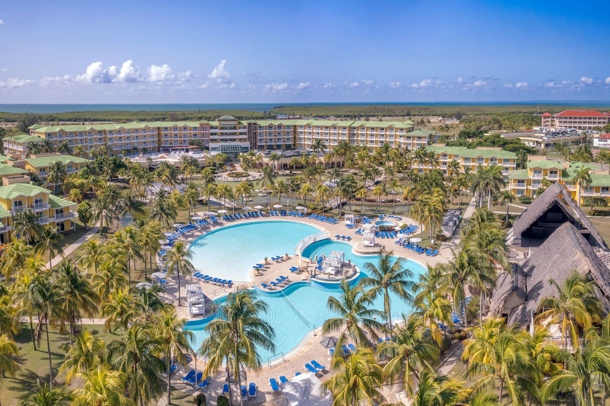 a swimming pool surrounded by palm trees
