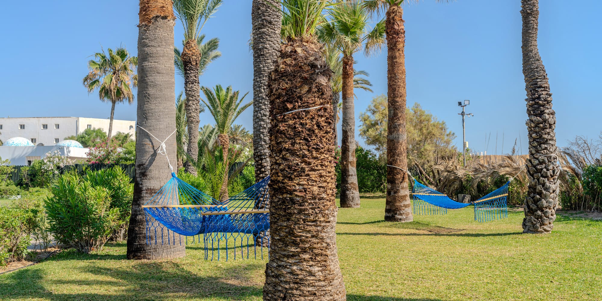 Tropical garden with palm trees, two blue hammocks, and resort in background.
