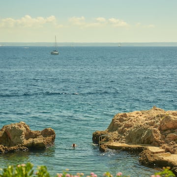 a person swimming in the water