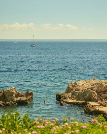 a person swimming in the water