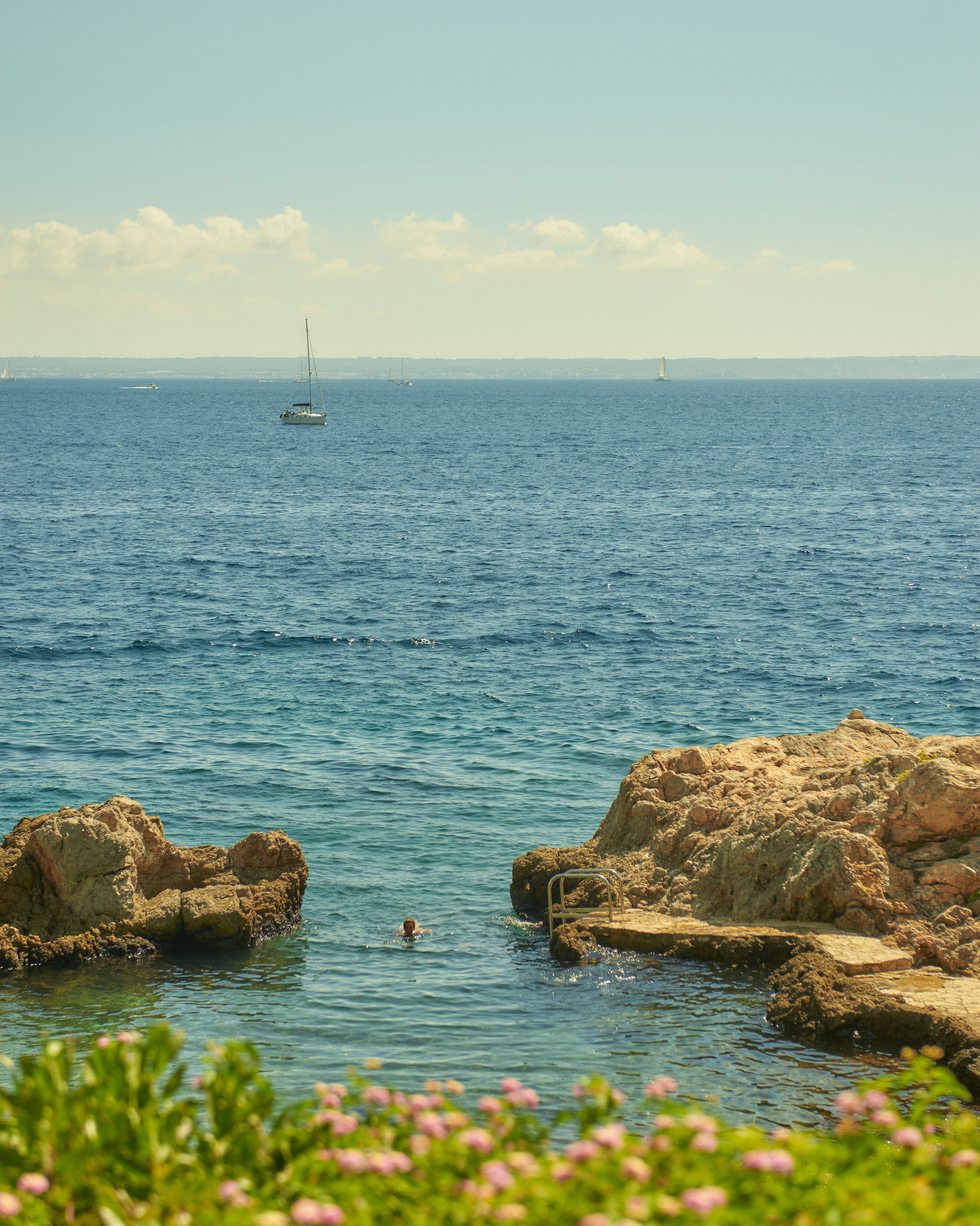 Swimmer in blue ocean by rocky shore, distant sailboats, and blooming flowers.
