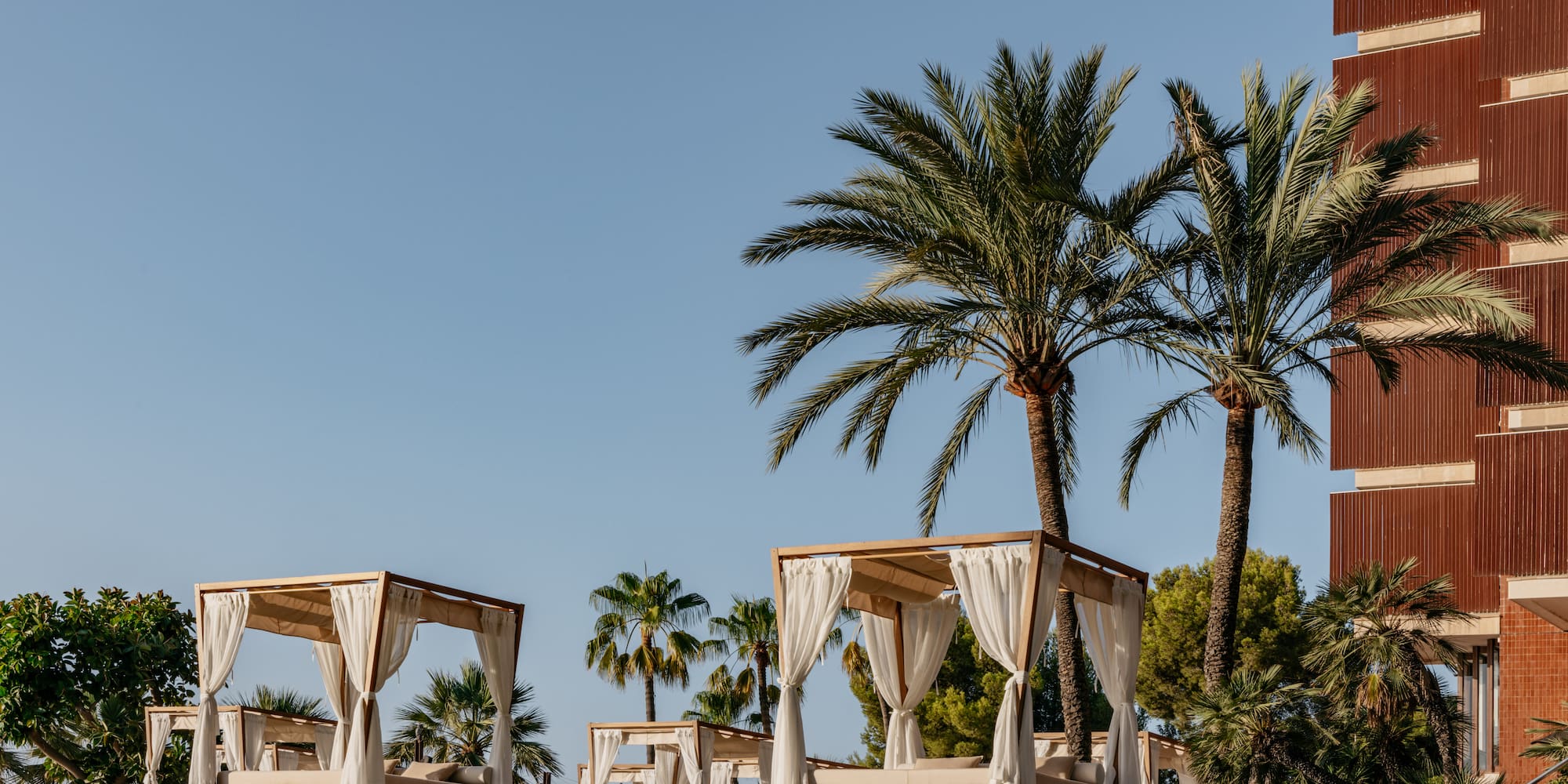 a group of beds with white curtains and palm trees