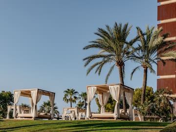 a group of beds with white curtains and palm trees