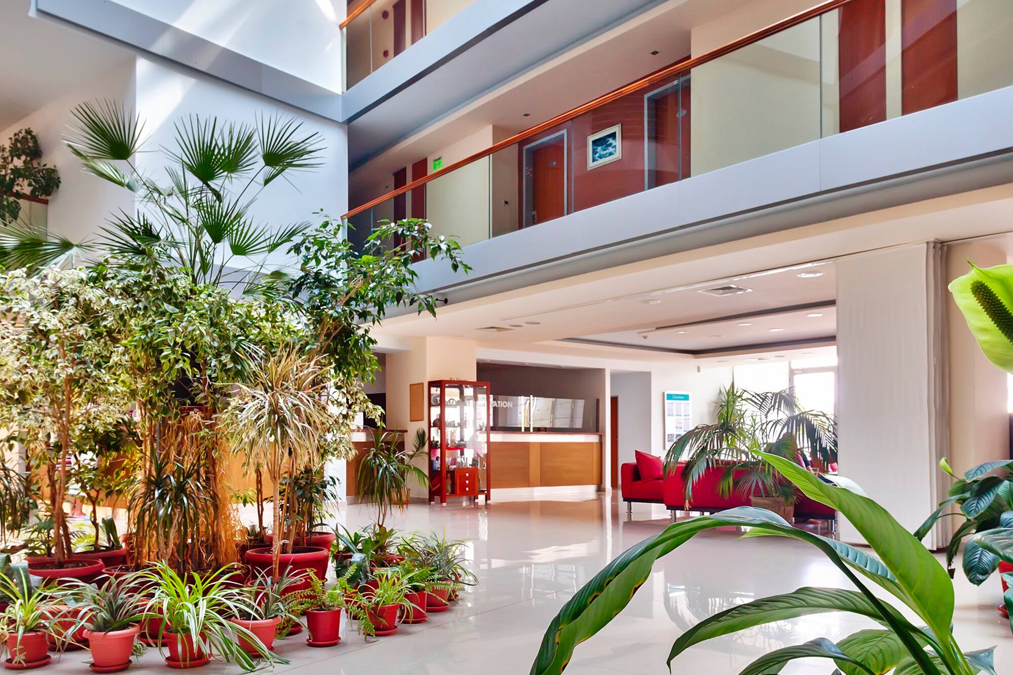 a large indoor plant in a building