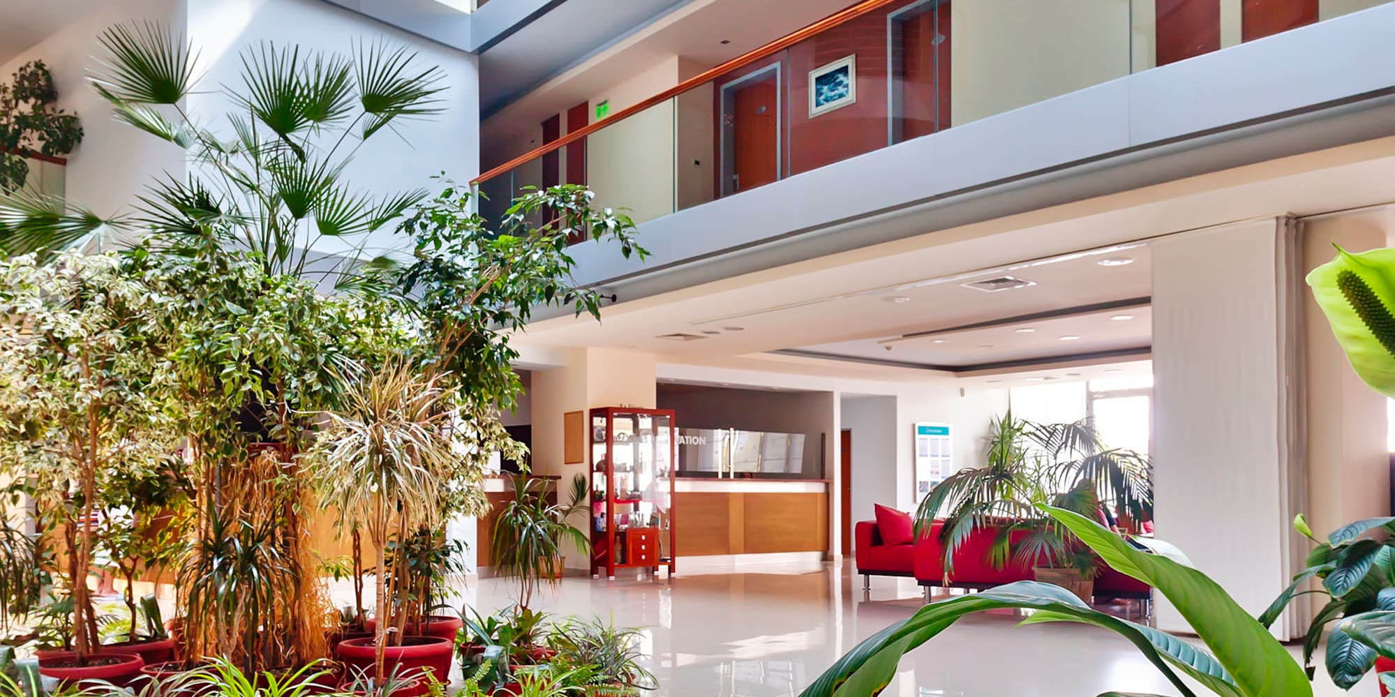 a large indoor plant in a building