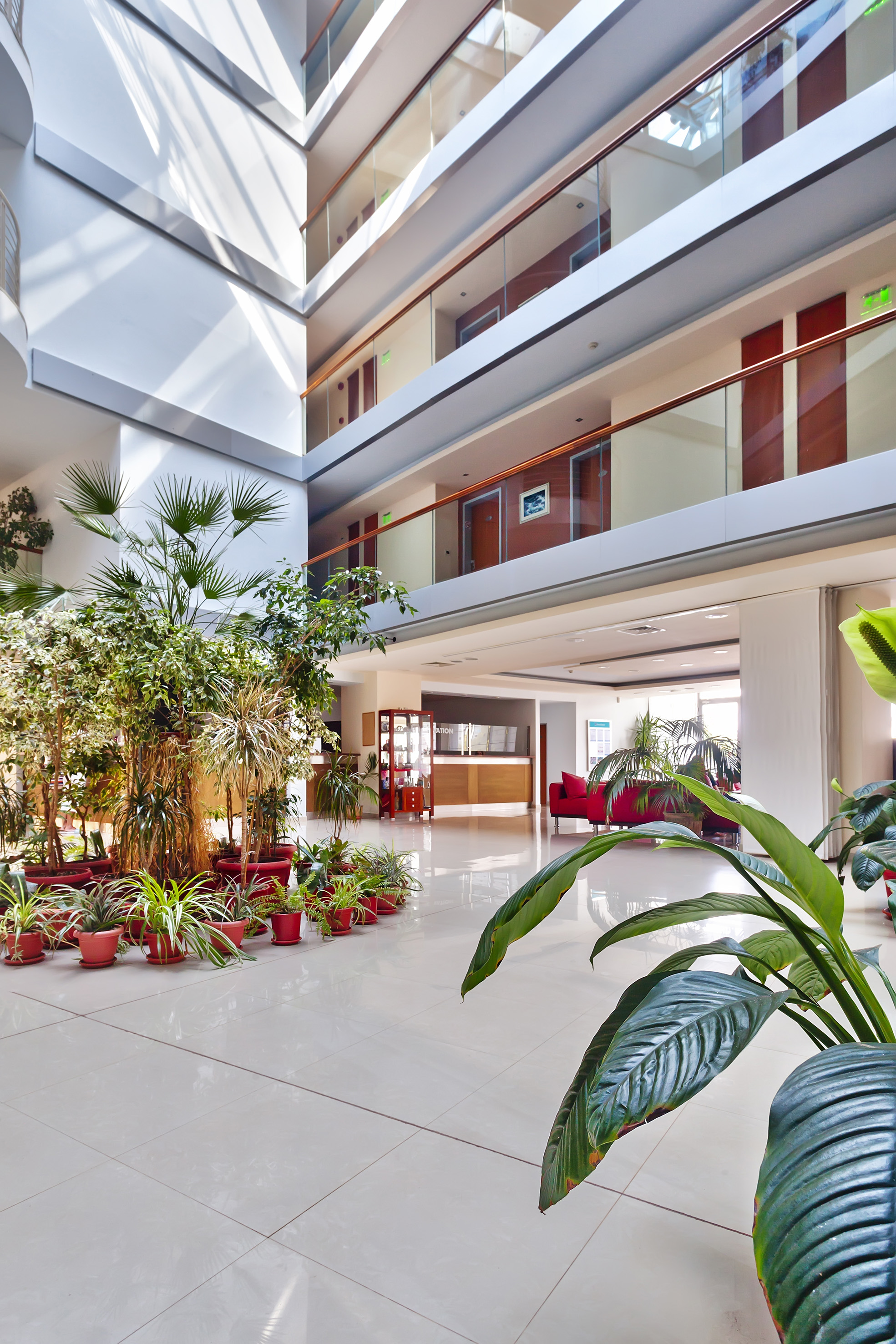 a large indoor plant in a building